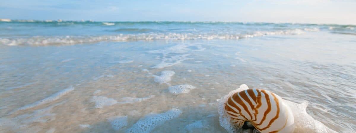 beach