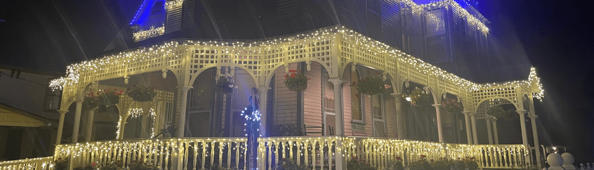 christmas lights